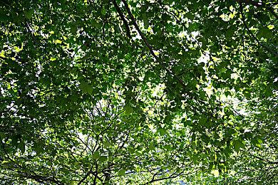 《使命召唤》前总监：2017年之后该系列游戏不太好