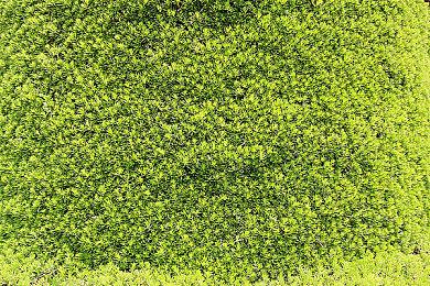 PS5首次登顶日本游戏主机销量月榜