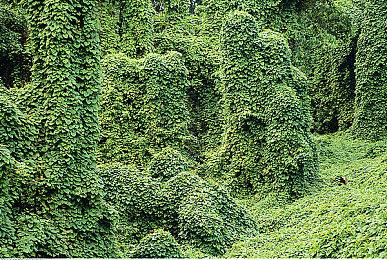 《迷宫校舍》明年2月登陆steam 多人合作恐怖探险